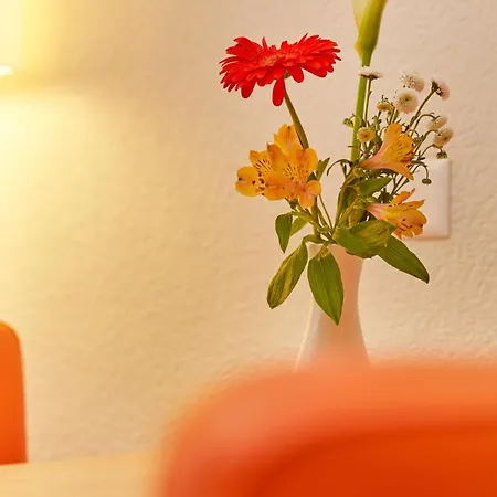 Arcadia Locarno, A Trademark Collection By Wyndham Hotel 4*