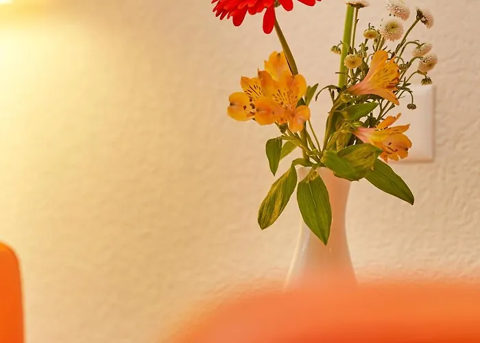 H4 Arcadia Отель 4*